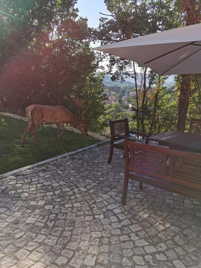 Casa Vacanze Al Castello Villetta Barrea Exterior foto